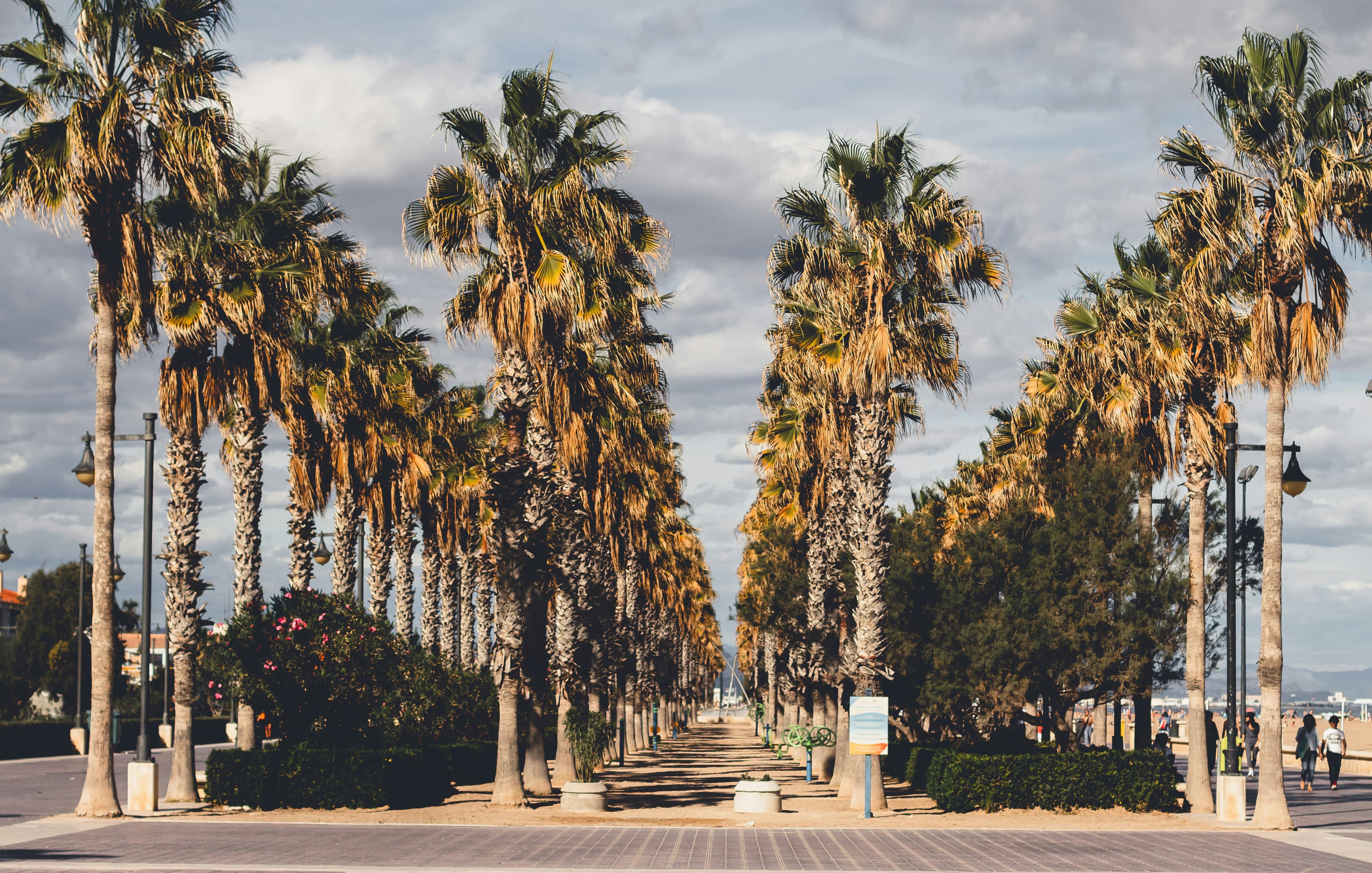 Valencia